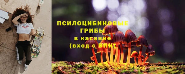 a pvp Костерёво