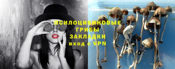a pvp Костерёво