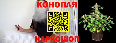 мяу мяу мука Пенза