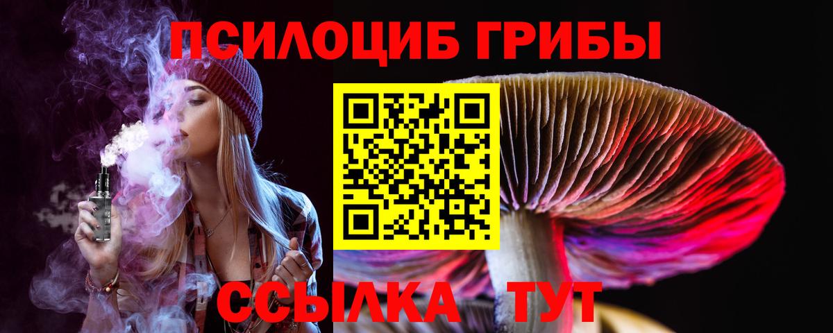 Муравленко  Галлюциногенные грибы ЛСД  Вход с VPN 